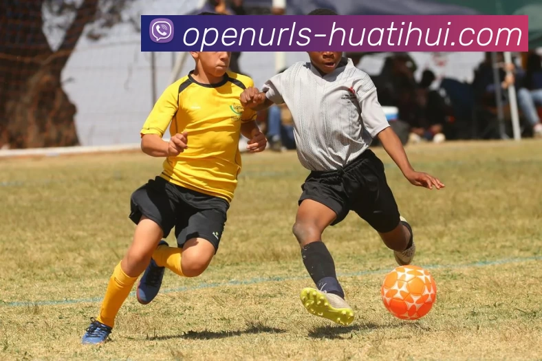 多媒体互动体验